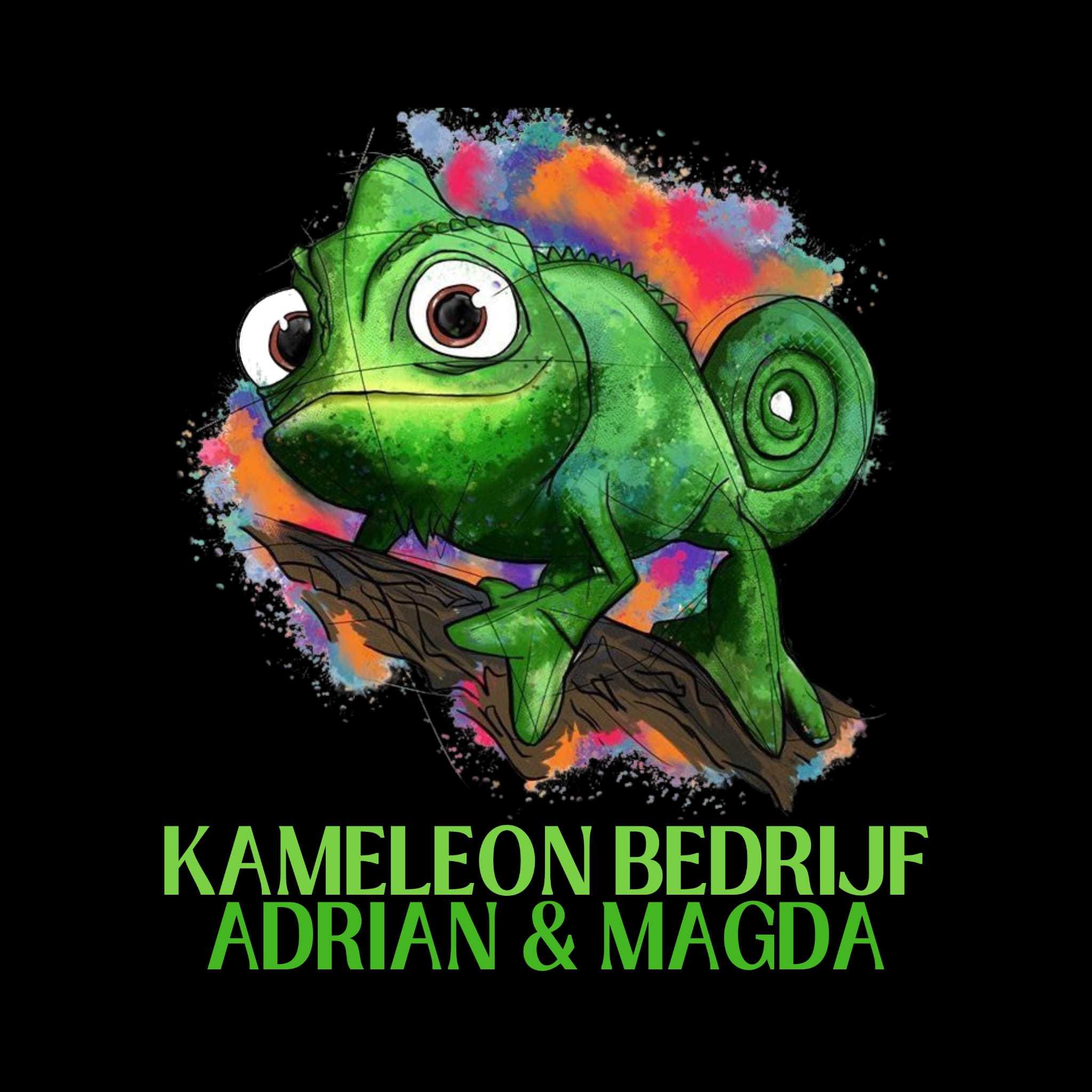 Kameleon Bedrijf hoofdlogo